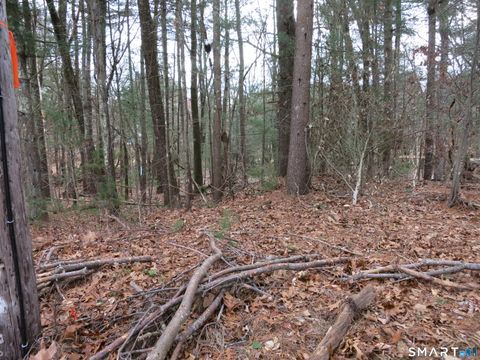 Tiny photo for 0 White Sands Road, East Haddam, CT 06423 (MLS # 24144466)
