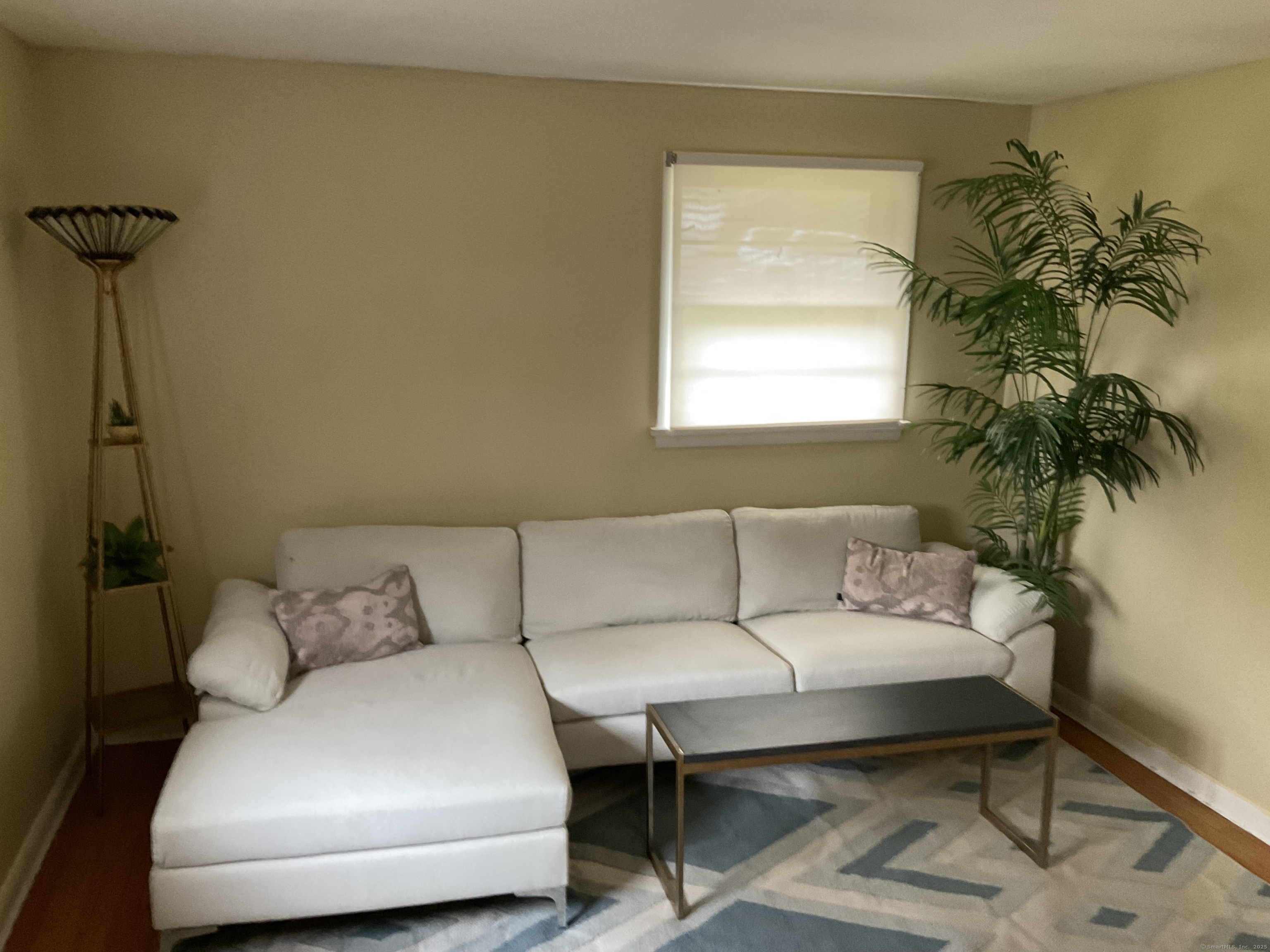 66 Dino Road, Bristol, Connecticut image 18