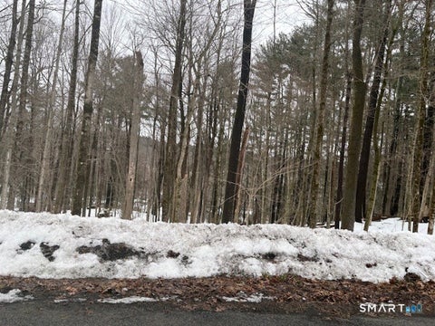 Photo of 56 Highland Avenue, New Hartford, CT 06057 (MLS # 24158065)