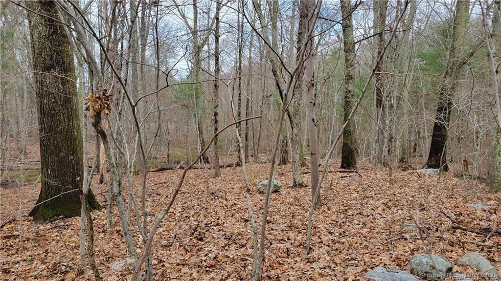 220 Preston Allen Road, Lisbon, Connecticut image 2