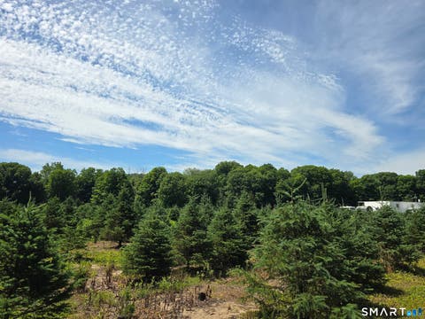 Tiny photo for 11 Bunker Hill Road, Andover, CT 06232 (MLS # 24186987)