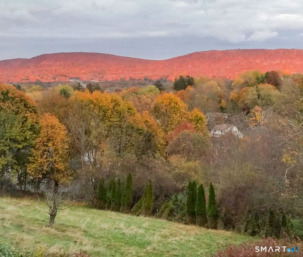 Photo of 192 Dexter Avenue, Meriden, CT 06450 (MLS # 24165531)