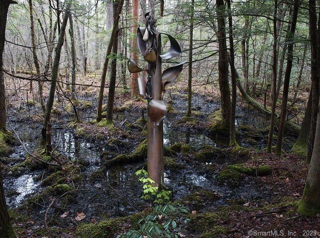 Xx Pole Bridge Road, Woodstock, Connecticut image 25