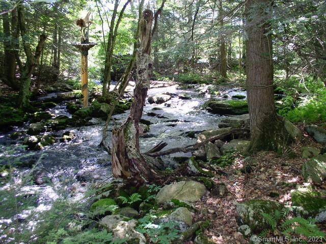 Xx Pole Bridge Road, Woodstock, Connecticut image 15