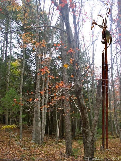 Xx Pole Bridge Road, Woodstock, Connecticut image 18