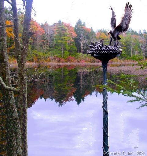 Xx Pole Bridge Road, Woodstock, Connecticut image 14