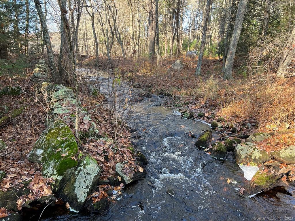 Xx Pole Bridge Road, Woodstock, Connecticut image 13