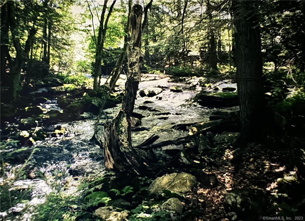 Xx Pole Bridge Road, Woodstock, Connecticut image 23