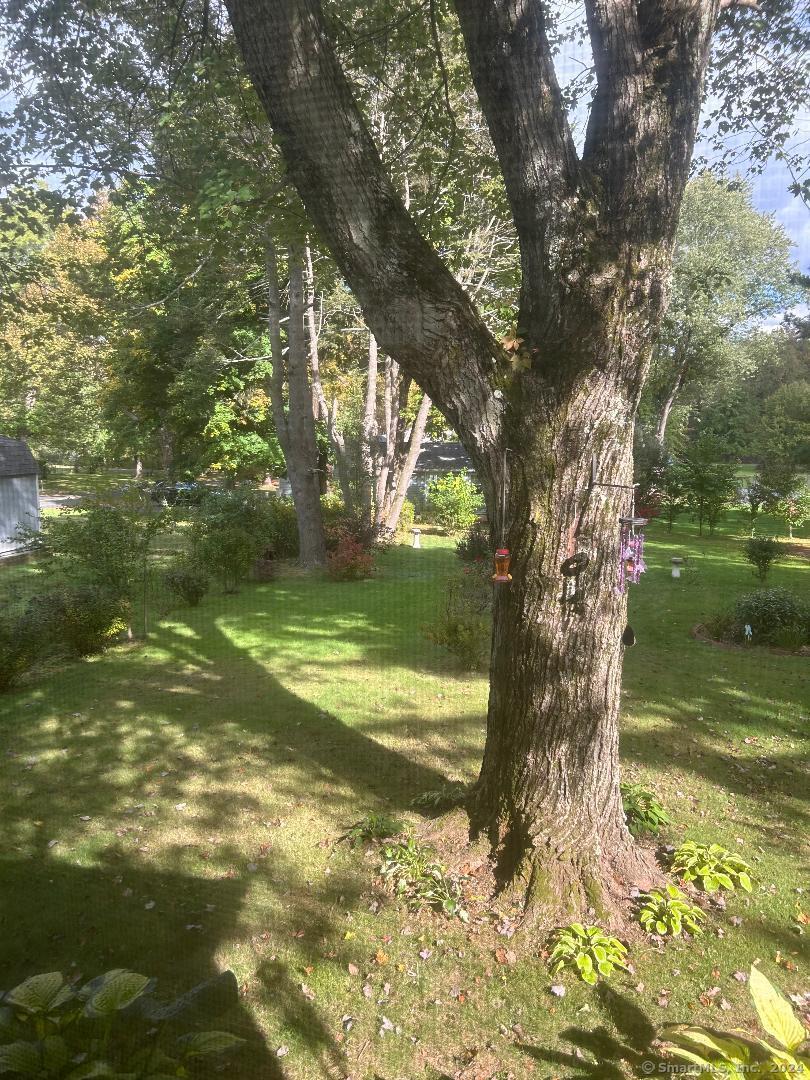 396 Long Hill Street, East Hartford, Connecticut image 6