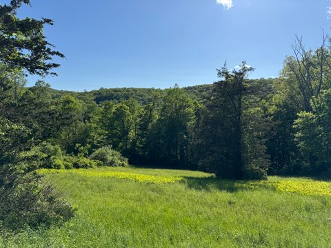 Vacant Land For Sale - Rte 39 South, State Route<br/> Sherman, CT 06784