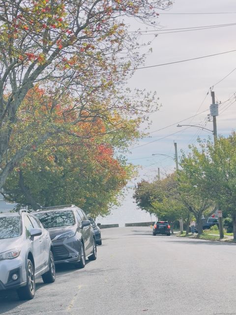 Tiny photo for 281 Ocean Avenue, West Haven, CT 06516 (MLS # 24134068)