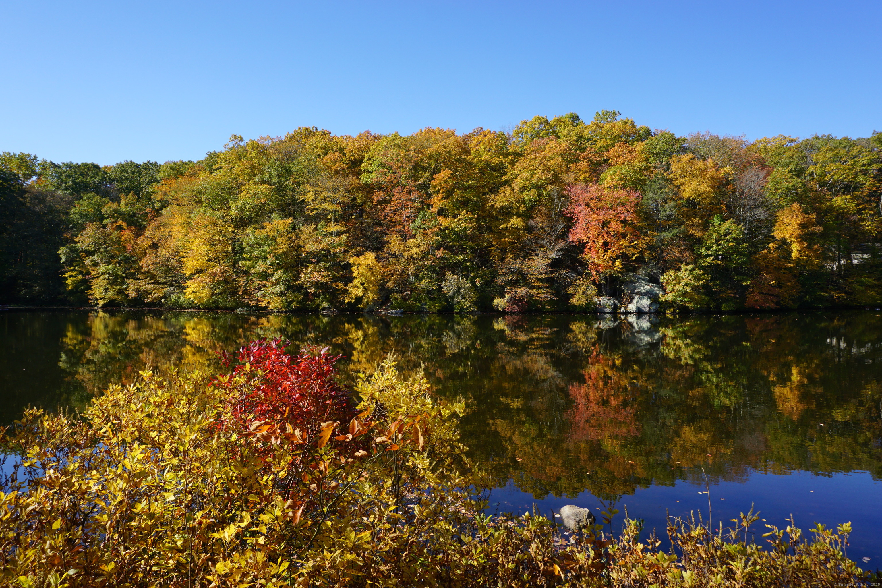 Stamford, Connecticut 06903, United States, 5 Bedrooms Bedrooms, ,4 BathroomsBathrooms,Residential,Active,153197