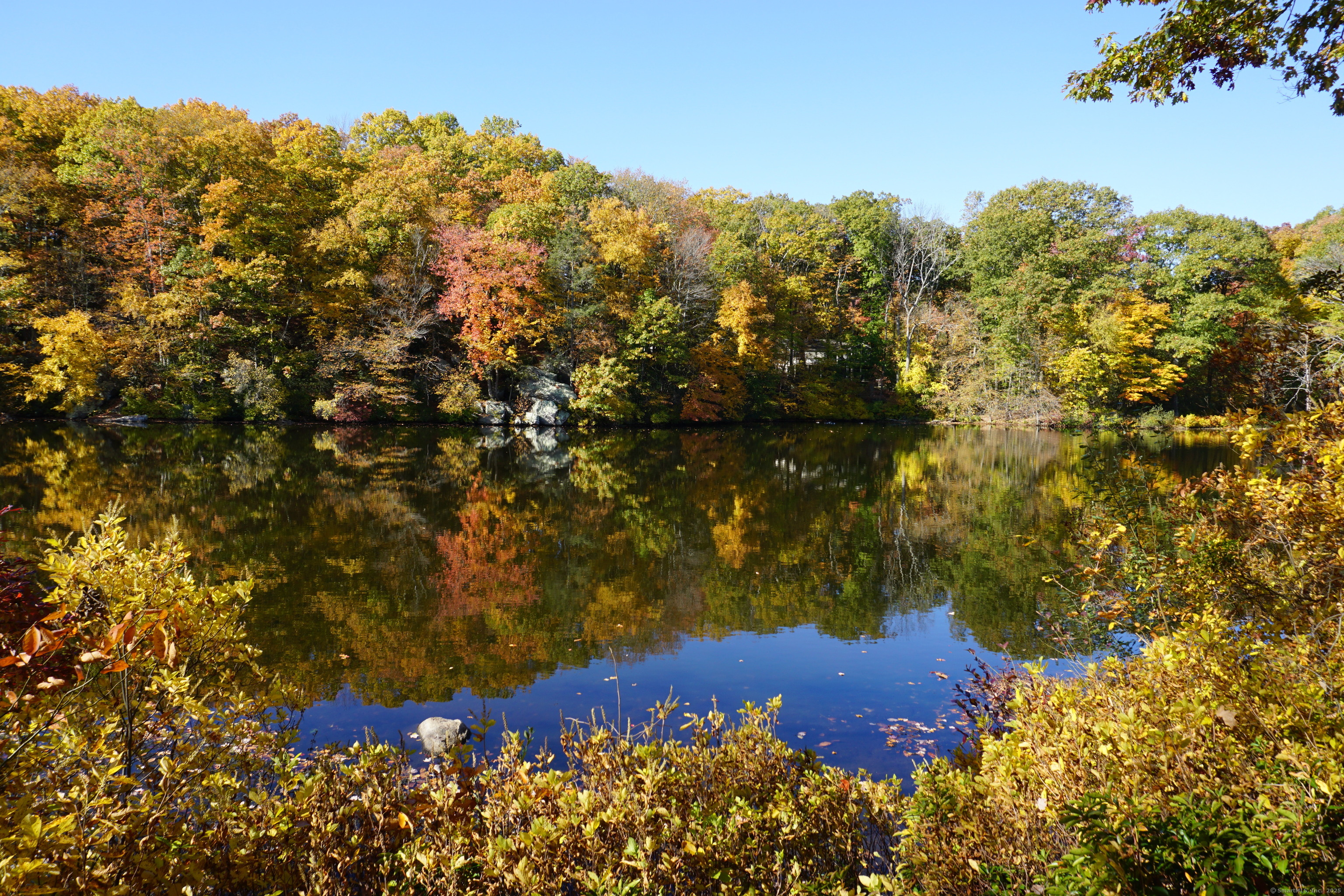 Stamford, Connecticut 06903, United States, 5 Bedrooms Bedrooms, ,4 BathroomsBathrooms,Residential,Active,153197