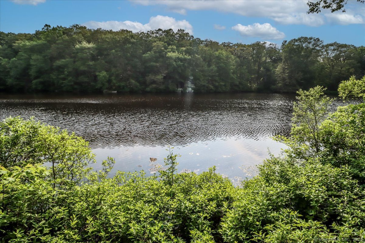 Stamford, Connecticut 06903, United States, 5 Bedrooms Bedrooms, ,4 BathroomsBathrooms,Residential,Active,153197