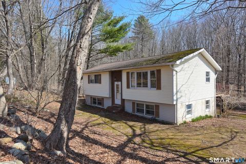 Homes For Sale - 170 Smith Road<br/> Woodstock, CT 06281