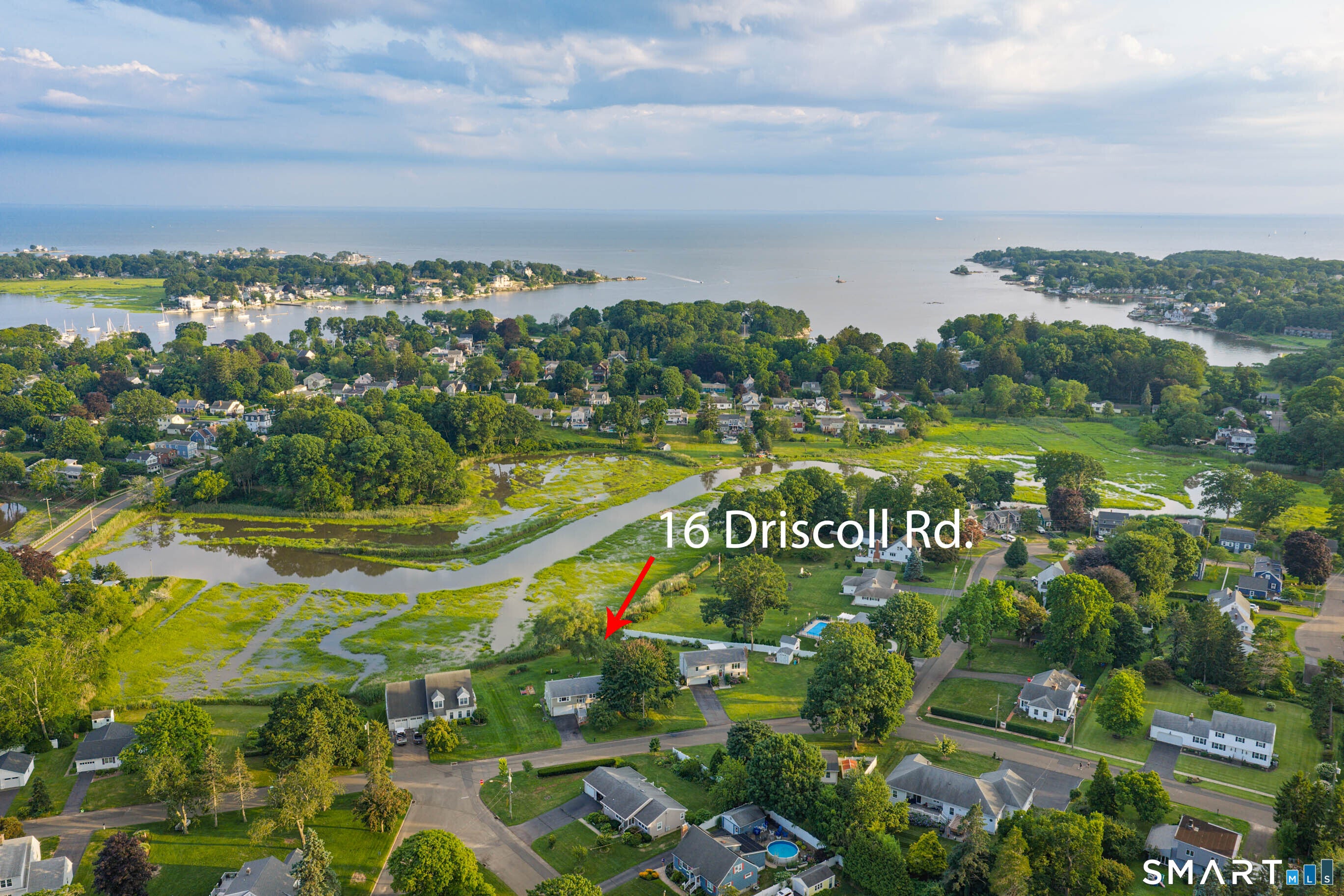 16 Driscoll Road
