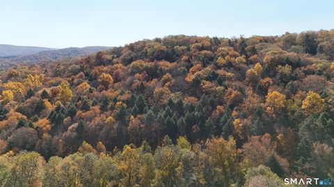 Tiny photo for 40 Long River Road, Sherman, CT 06784 (MLS # 24143213)