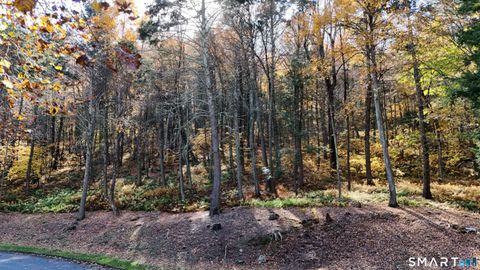 Tiny photo for 40 Long River Road, Sherman, CT 06784 (MLS # 24143213)