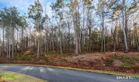 Tiny photo for 40 Long River Road, Sherman, CT 06784 (MLS # 24143213)