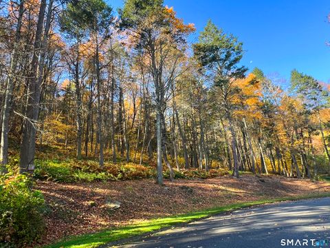 Tiny photo for 40 Long River Road, Sherman, CT 06784 (MLS # 24143213)