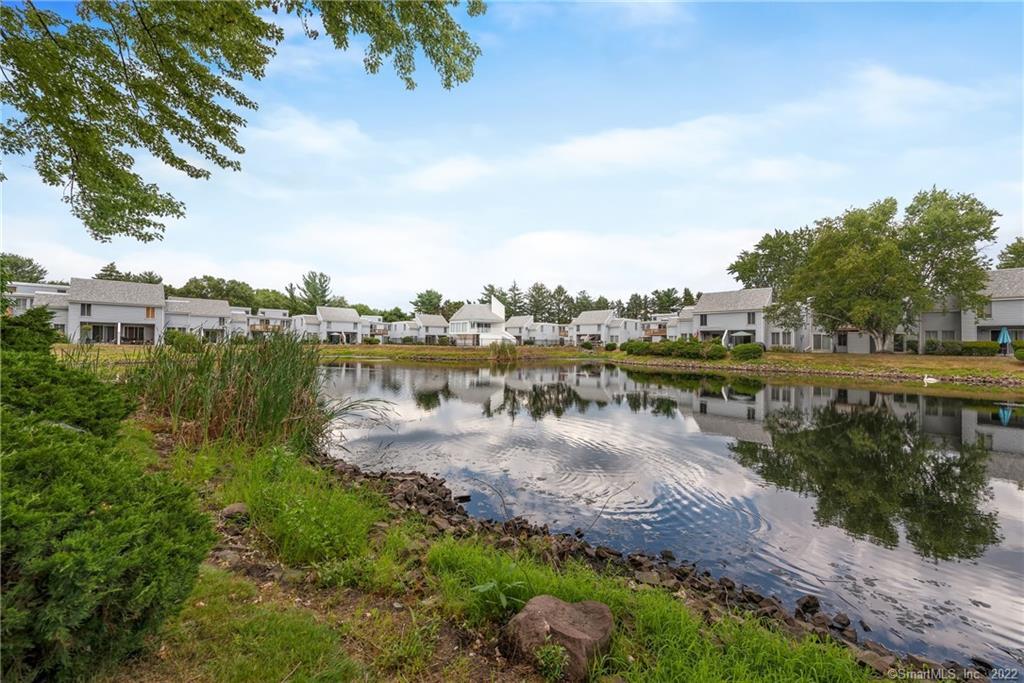 85 Cinnamon Springs 85