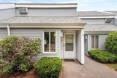 85 Cinnamon Springs 85 South Windsor CT 06074