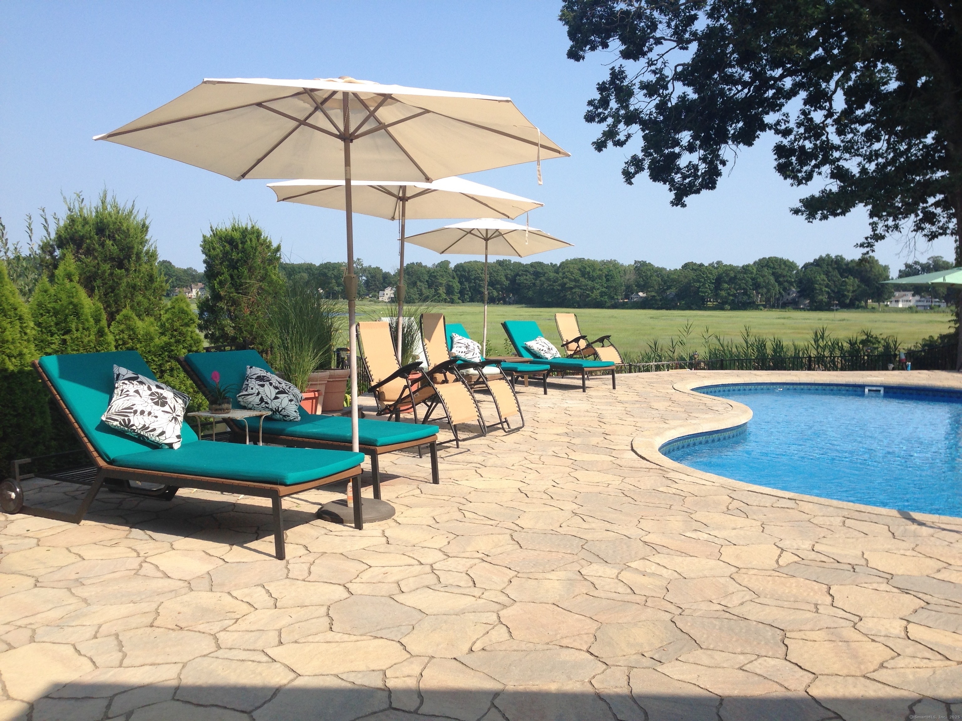 231 Pawson Road, Branford, Connecticut image 39