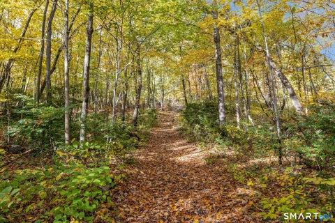 Tiny photo for Waterbury, CT 06708 (MLS # 24211915)
