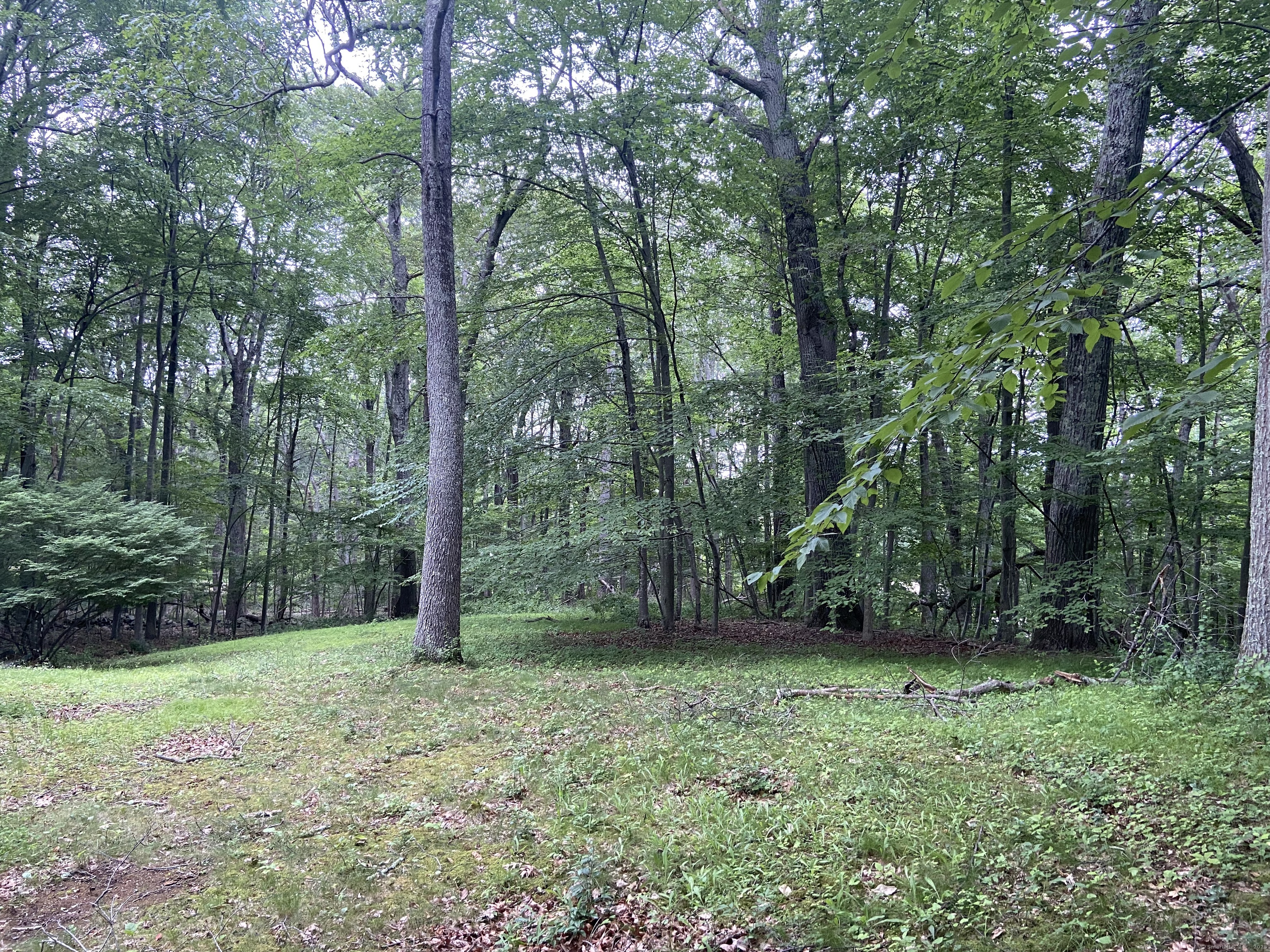 11 Winding Brook Road