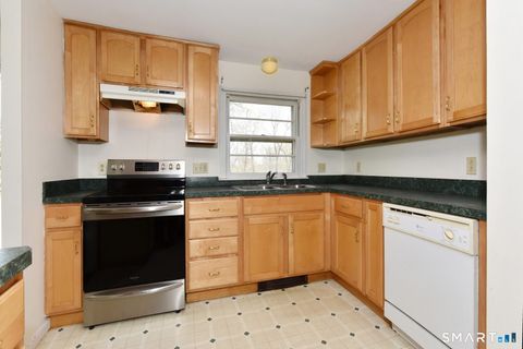 Tiny photo for 18 Old Young Street, East Hampton, CT 06424 (MLS # 24171074)