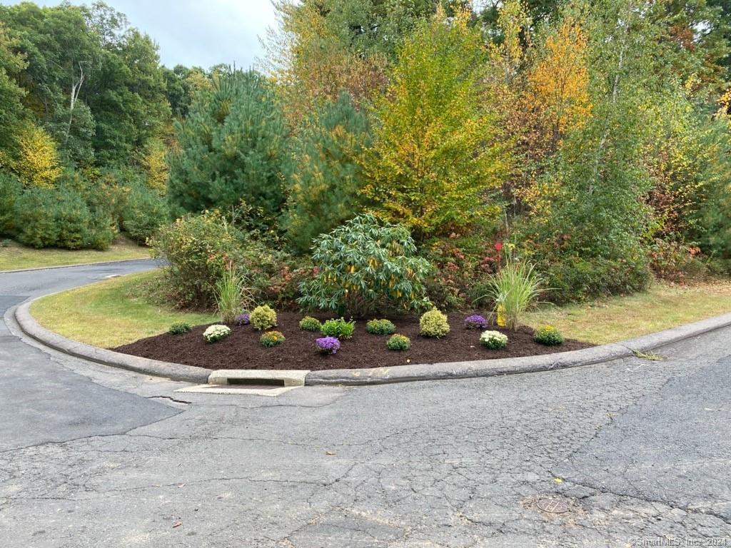 61 Belvedere (lofton Ii) Drive, Tolland, Connecticut image 22