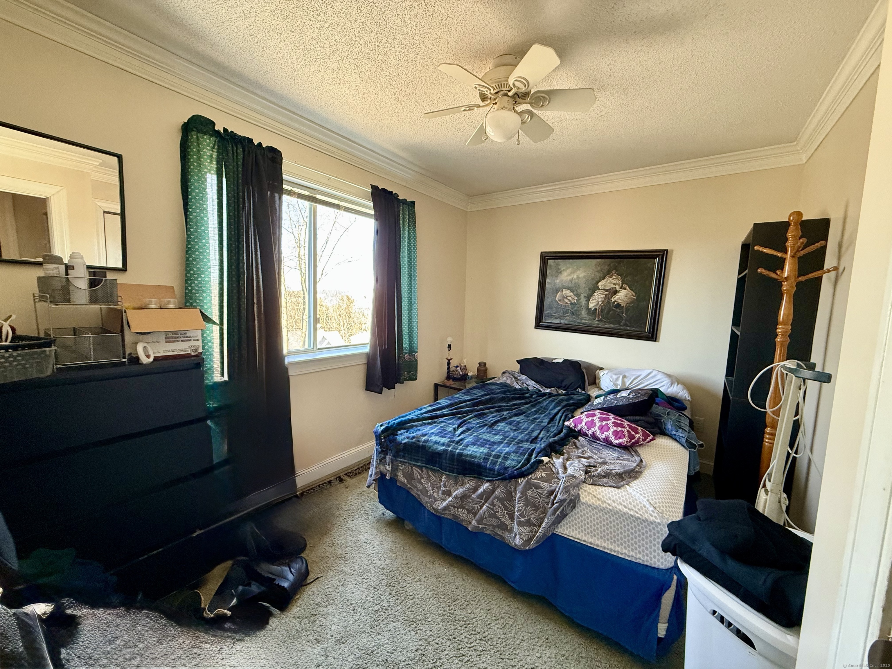 16 Irene Avenue, Waterbury, Connecticut image 14