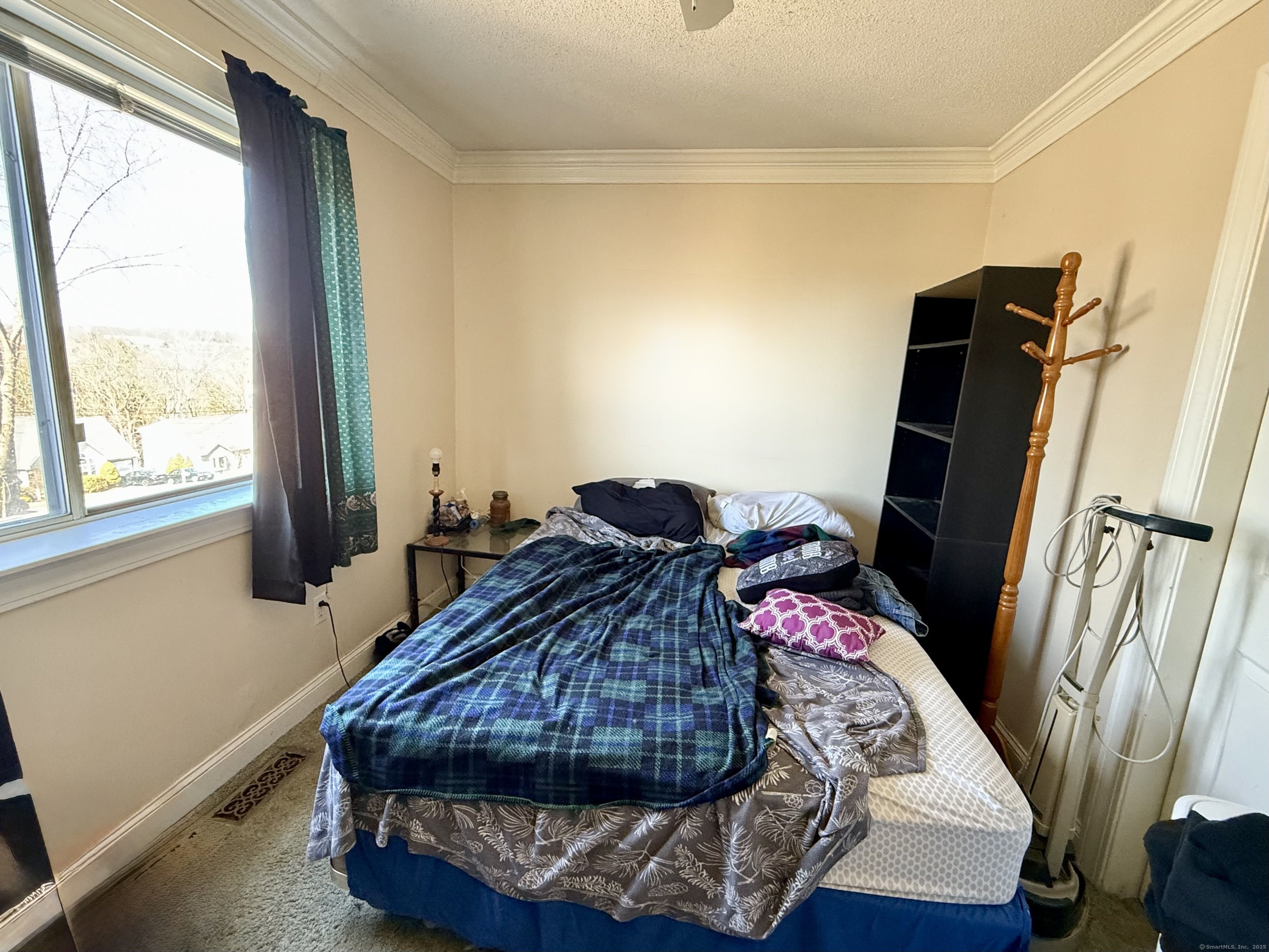 16 Irene Avenue, Waterbury, Connecticut image 15