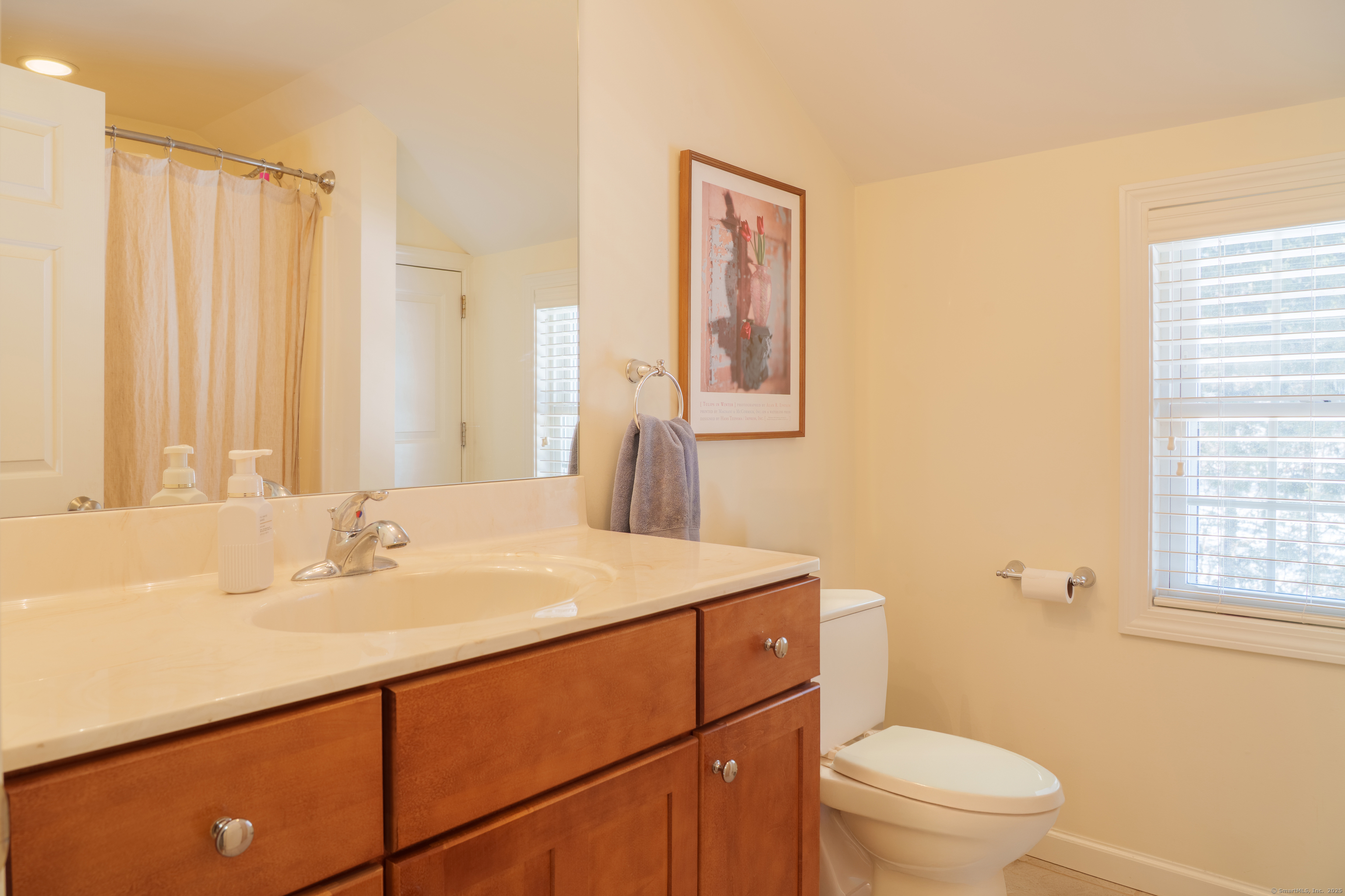 104 Ridgeview Place, Cheshire, Connecticut image 30