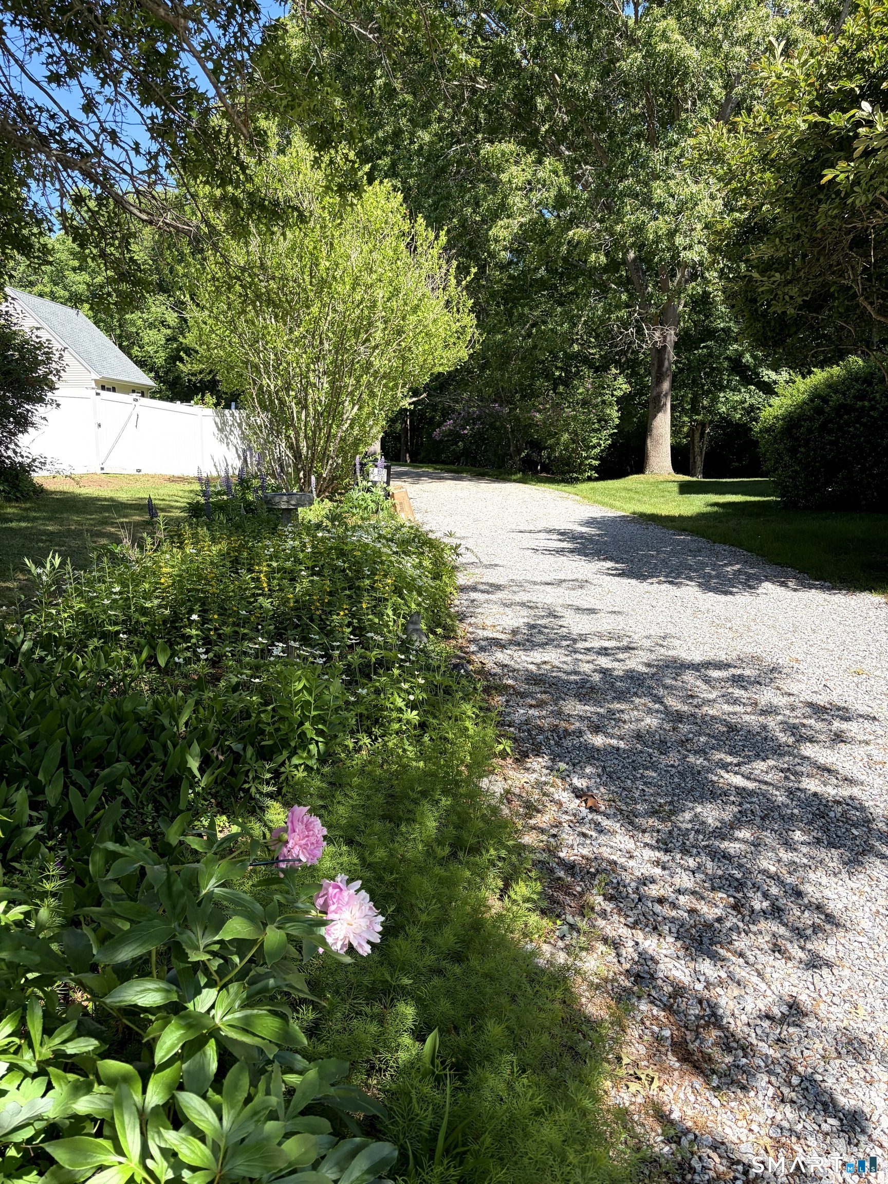 23 Swan Lane
