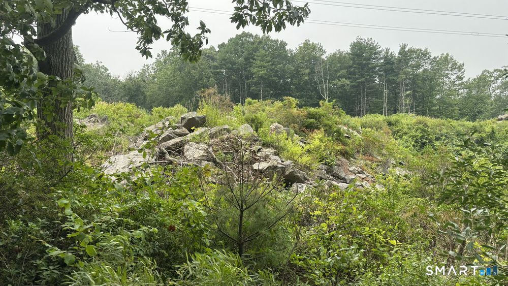 195 Silver Springs Drive
