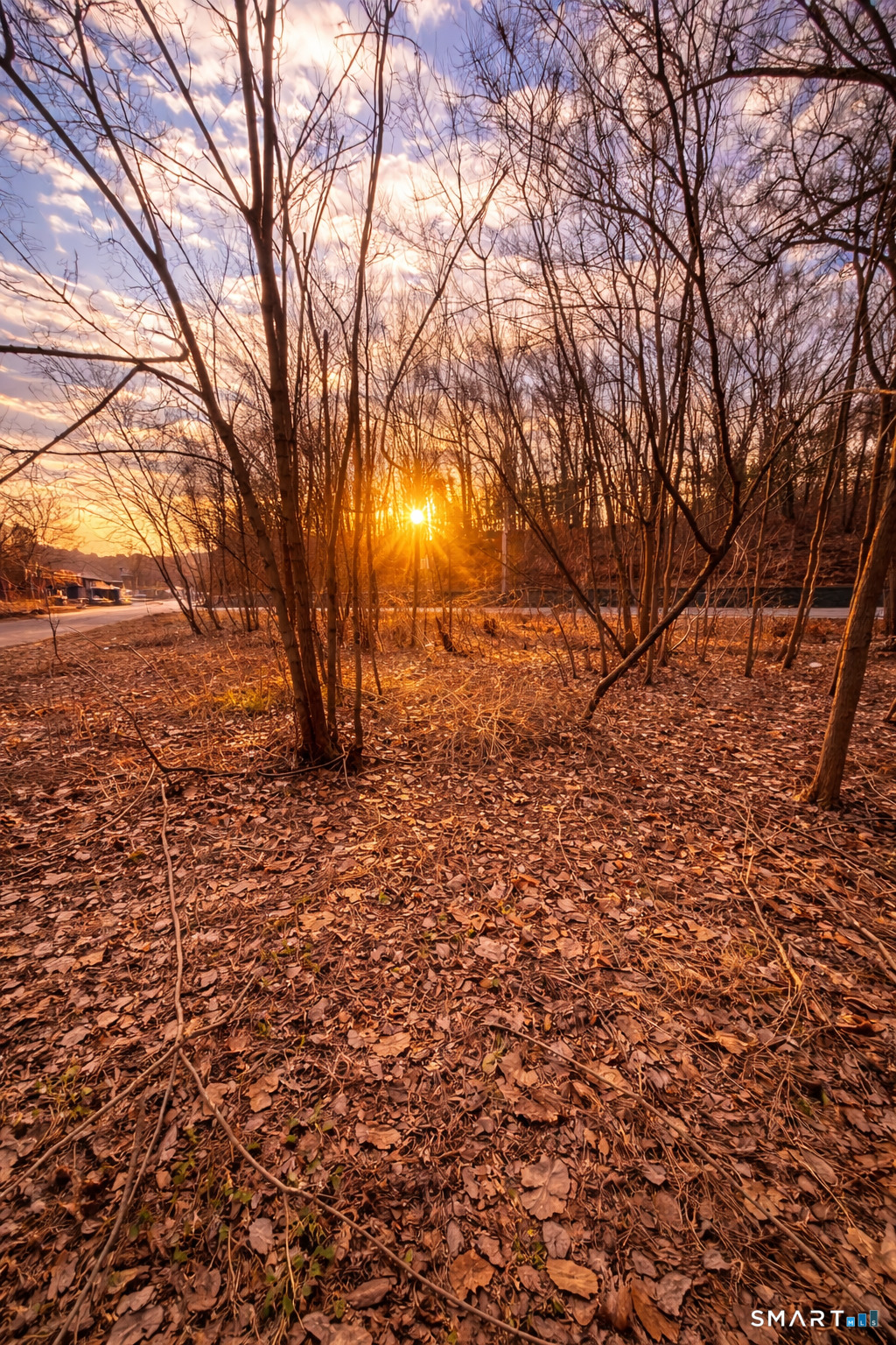 687 North Main Street