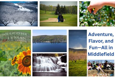 Tiny photo for 169 Cedar Street, Middlefield, CT 06481 (MLS # 24160022)