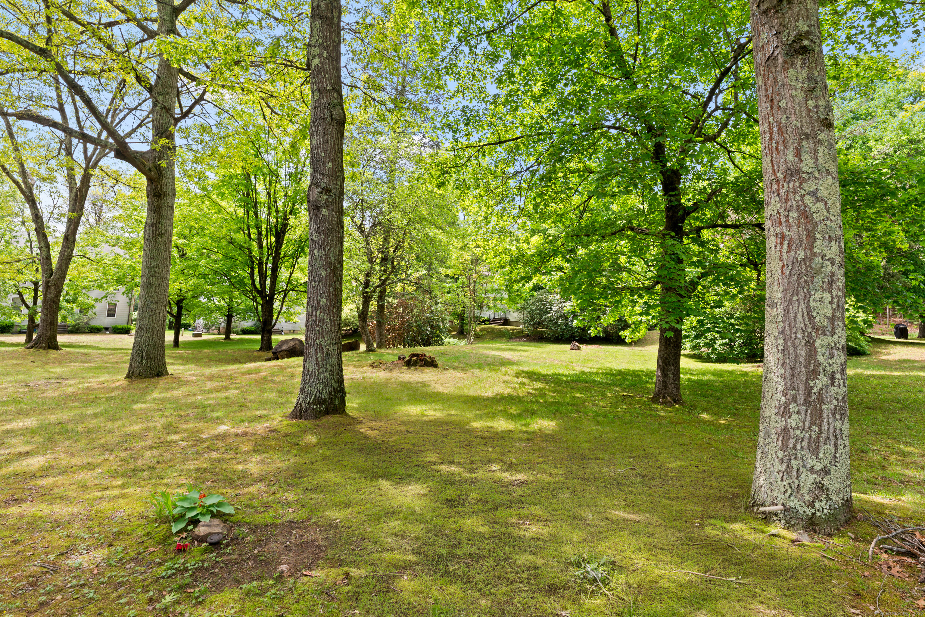 63 Schofield Road #APT 60, Willington, Connecticut image 34