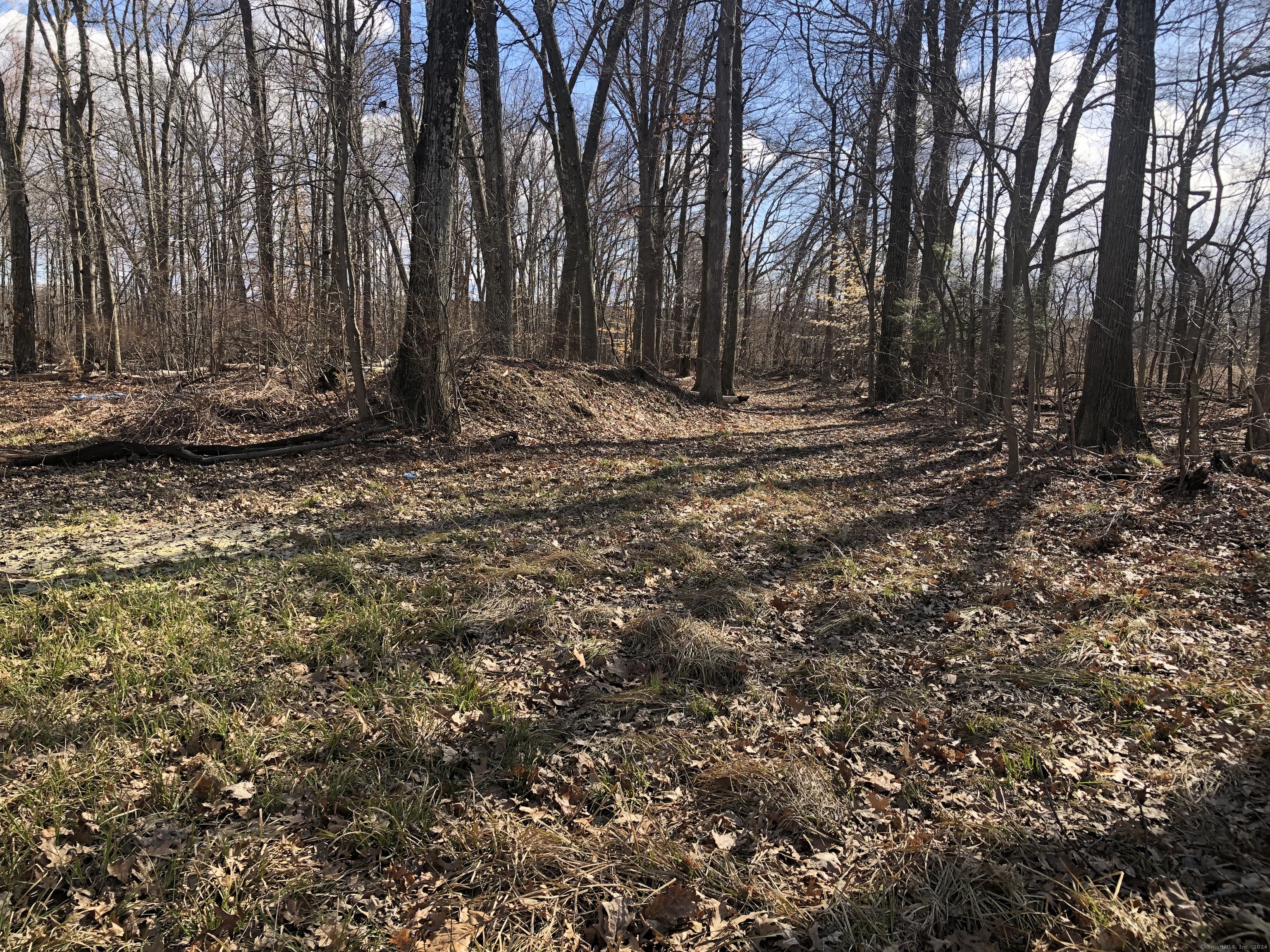 577 Goodwin Street, East Hartford, Connecticut image 6