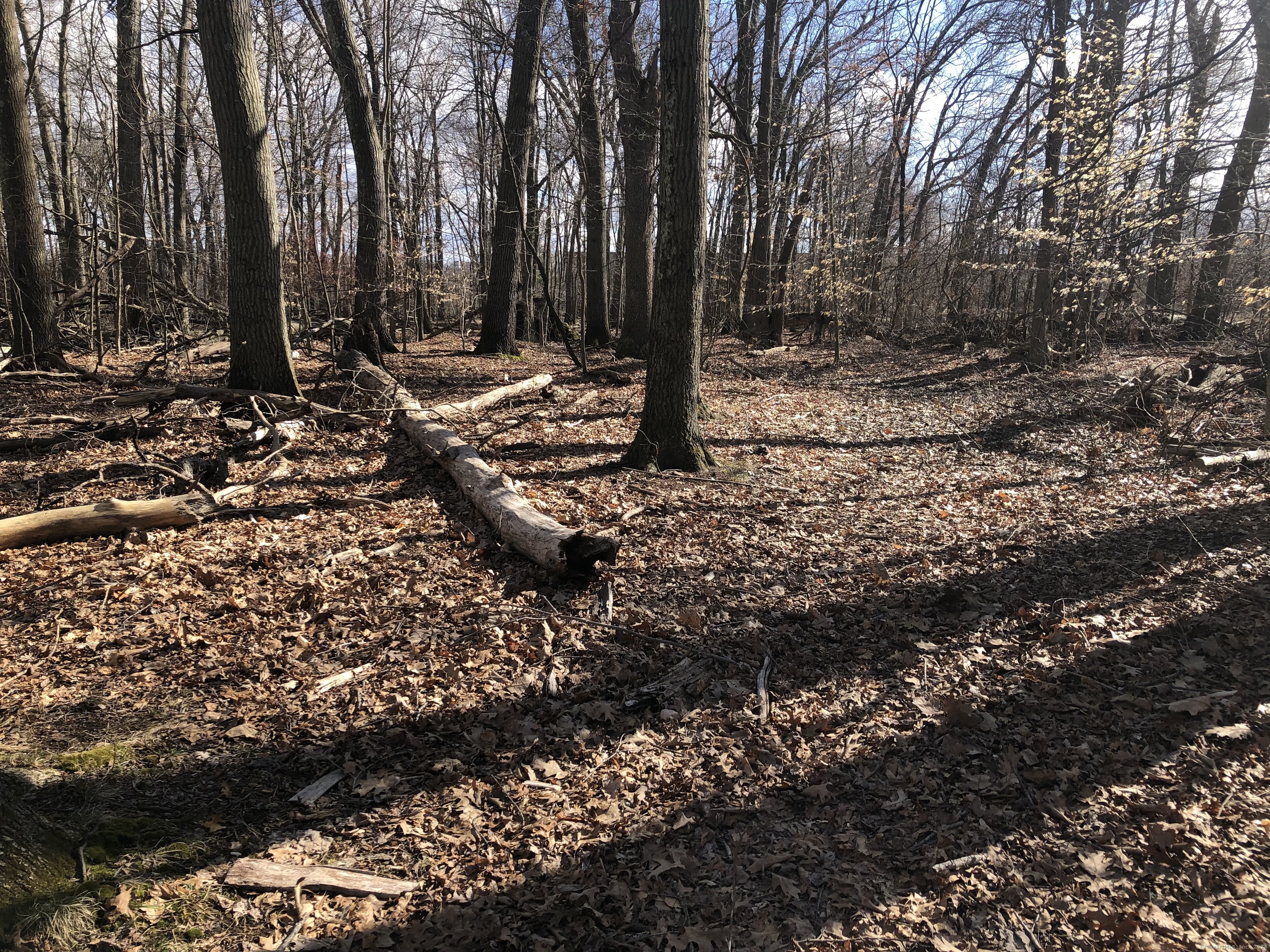 577 Goodwin Street, East Hartford, Connecticut image 7