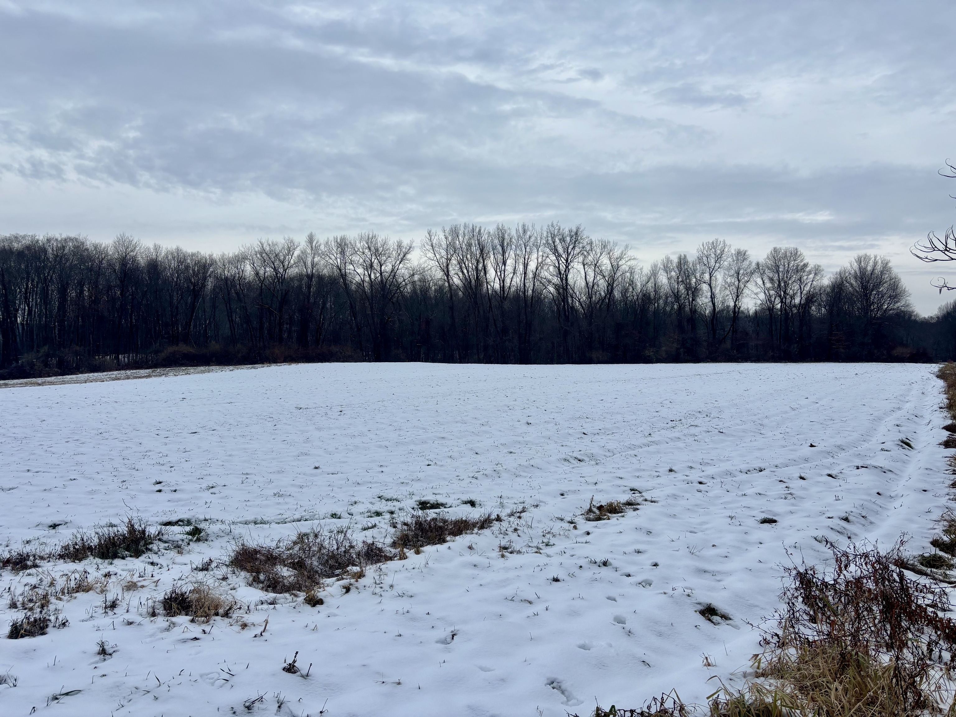 1095 South Grand Street