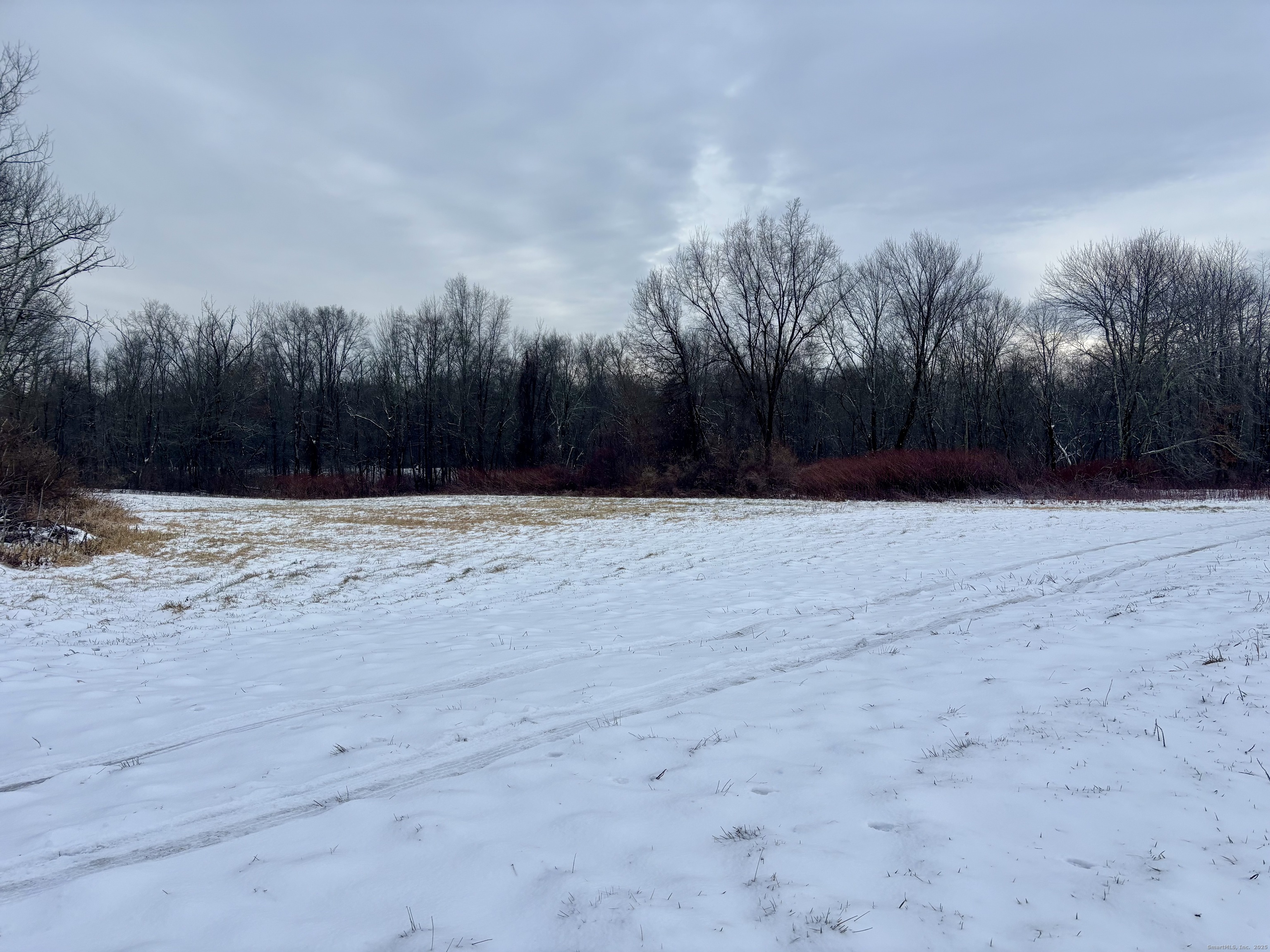 1095 South Grand Street