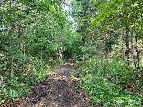 Tiny photo for Sharon Turnpike, Goshen, CT 06756 (MLS # 24201217)