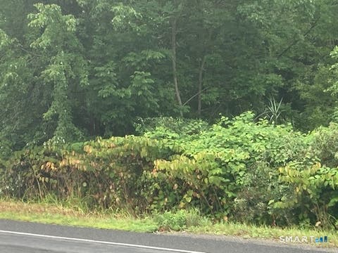 Tiny photo for Sharon Turnpike, Goshen, CT 06756 (MLS # 24201217)