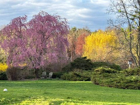 A home in Wilton