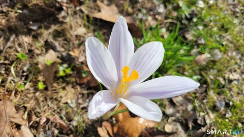 Tiny photo for 63 Stowe Avenue, Milford, CT 06460 (MLS # 24160148)