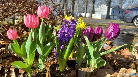 Tiny photo for 63 Stowe Avenue, Milford, CT 06460 (MLS # 24160148)