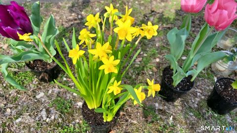 Tiny photo for 63 Stowe Avenue, Milford, CT 06460 (MLS # 24160148)