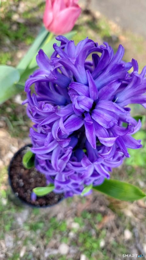 Tiny photo for 63 Stowe Avenue, Milford, CT 06460 (MLS # 24160148)